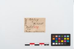 Etikett zu Eisenmesser (NHMW-PRAE-024408)